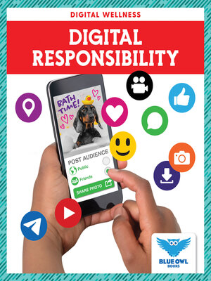 cover image of Digital Responsibility